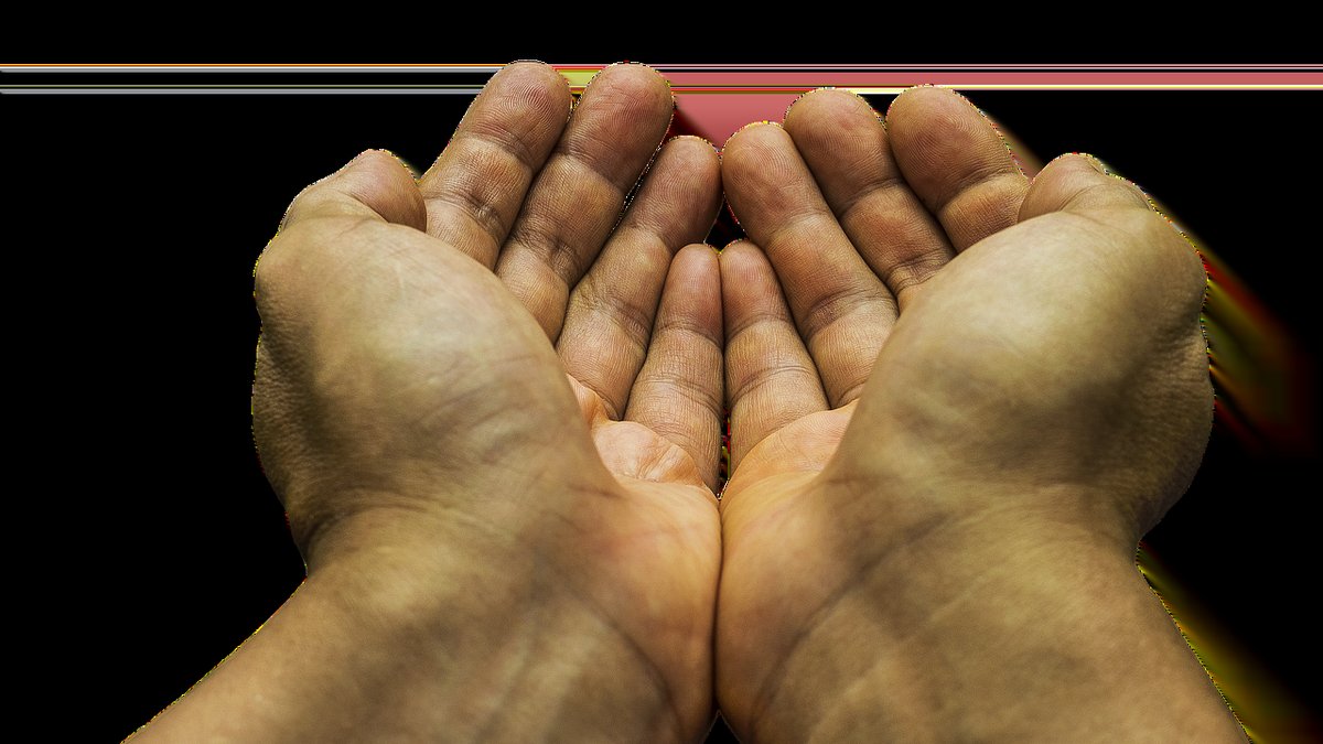 Grounding Techniques for Moments of Traumatic Distress